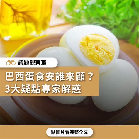 巴西蛋|【進口雞蛋安不安】巴西蛋食安誰來顧？ 3大疑點專家。